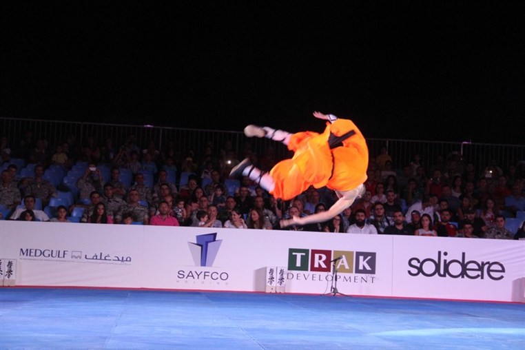 Martial Arts Festival